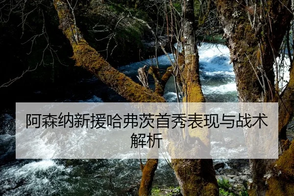 阿森纳新援哈弗茨首秀表现与战术解析
